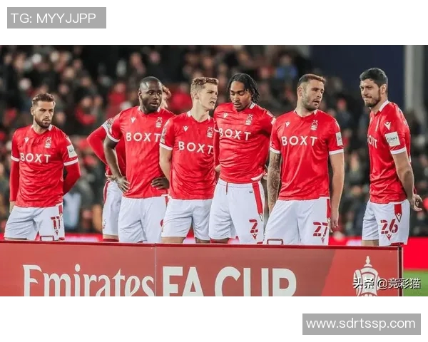 谢菲联与诺丁汉精彩对决直播全程回顾与分析